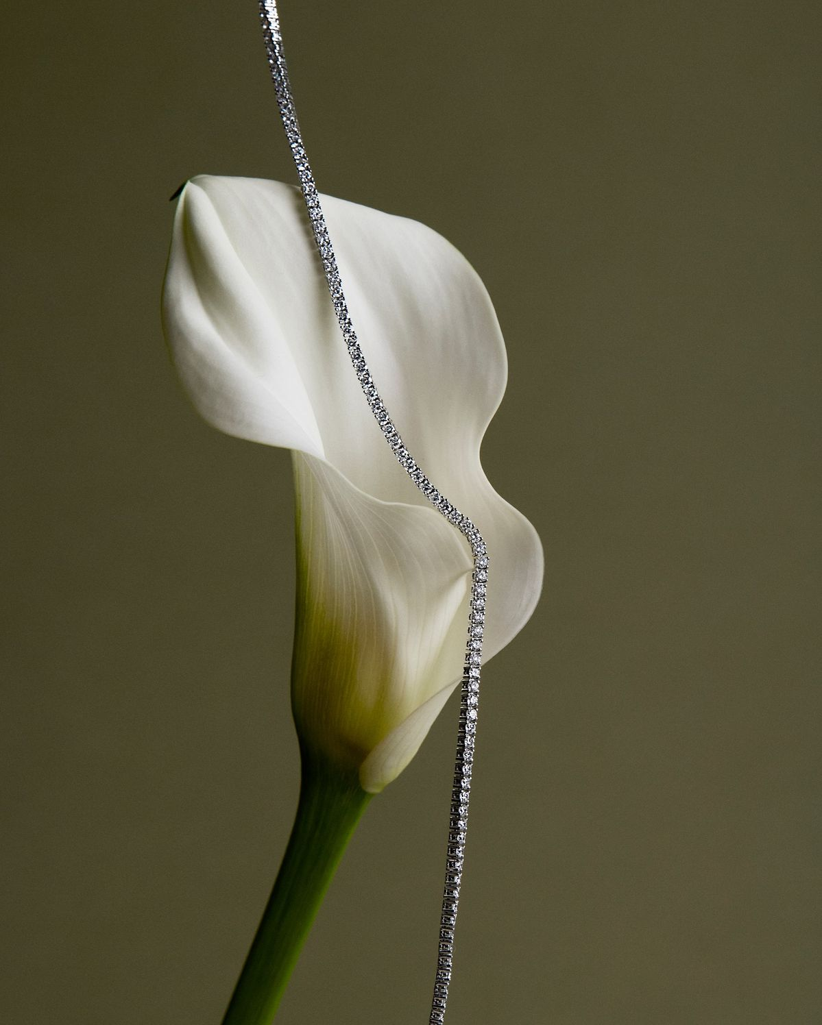 Diamond line necklace draped over a calla lily